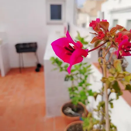 La Carmelina Costa Tropical